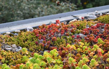 the cost of East Lutton green roof installation