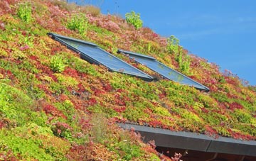 East Lutton living roof systems