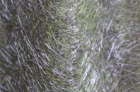 East Lutton fibreglass roof work